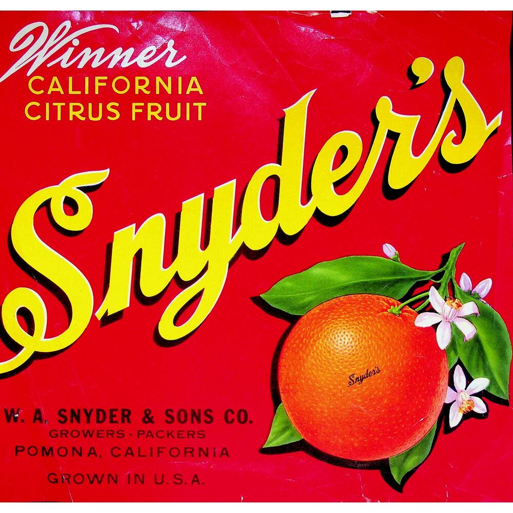 Vintage Snyders Winner Citrus Crate Label Pomona California Fruit Ad Collectible